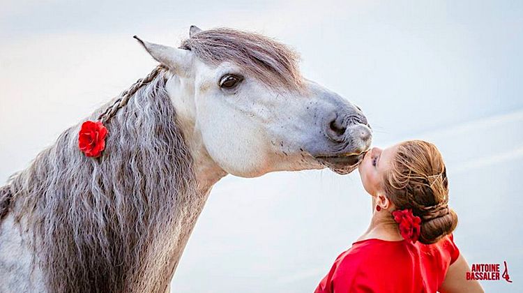 Tarbes : une magie toujours réinventée avec Equestria